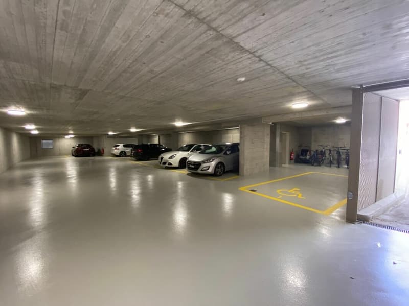 Autoeinstellhallenplatz in Birsfelden (2)