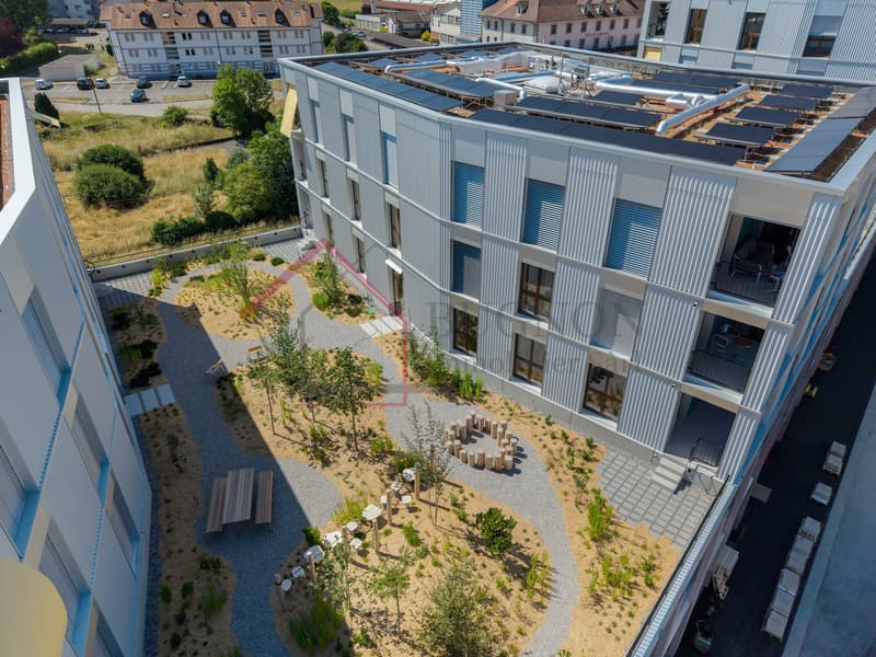 Ein neues 2,5-Zimmer-Apartment, das Komfort, Nachhaltigkeit und Mobilität vereint (12)