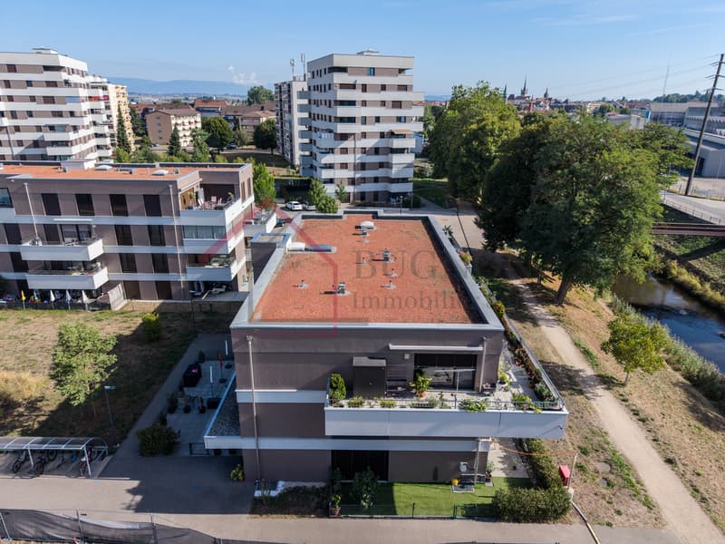 Spacieux appartement de 5,5 pièces au dernier étage avec grand balcon (13)
