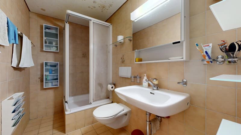 Bathroom with white sink, white toilet, glass shower enclosure, small shelves, beige tiles, illuminated mirror, various toiletries, and towels.