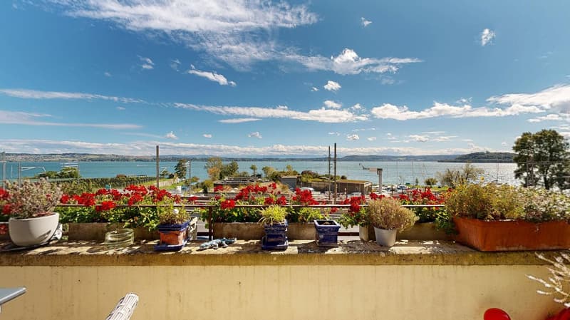 Beautiful balcony overlooking sea, several flower pots, tranquil atmosphere