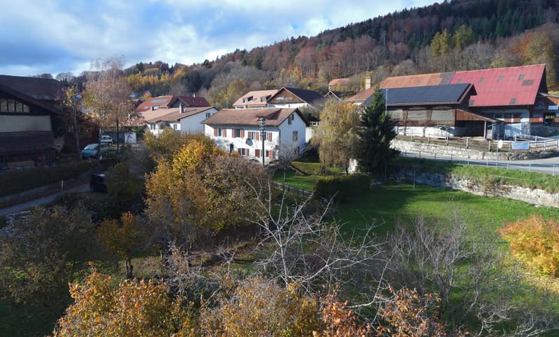 View of several houses in a hilly neighborhood with autumn foliage and a green hillside.