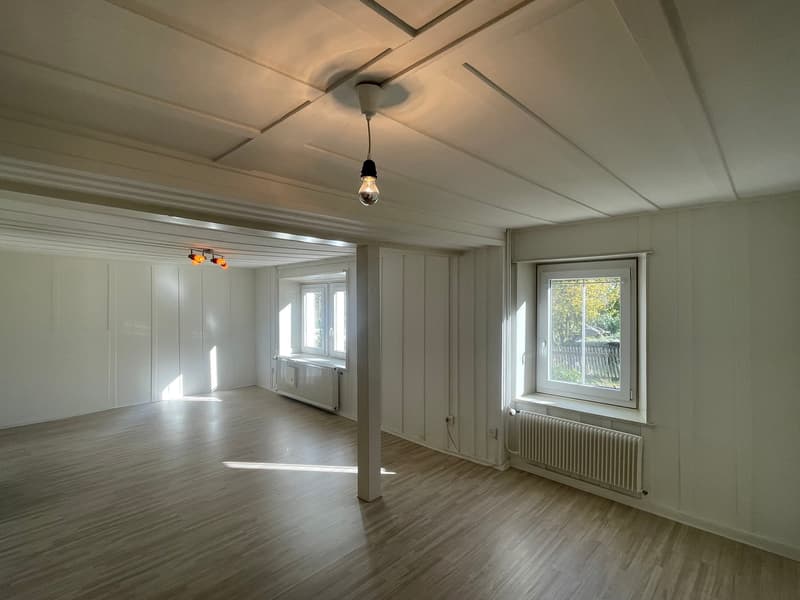 empty room with wooden floor, white walls, large windows, ceiling-mounted light fixtures, radiators