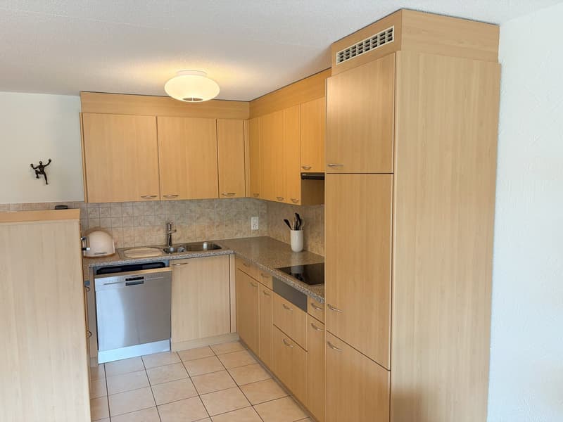 Delizioso appartamento 2 locali con terrazza e vista splendida a Flims-Dorf (16)