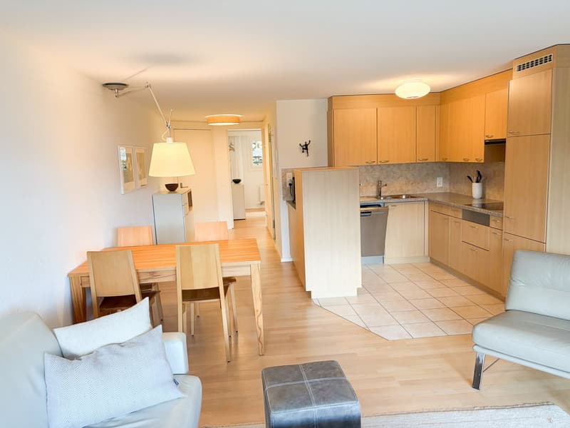 Delizioso appartamento 2 locali con terrazza e vista splendida a Flims-Dorf (11)