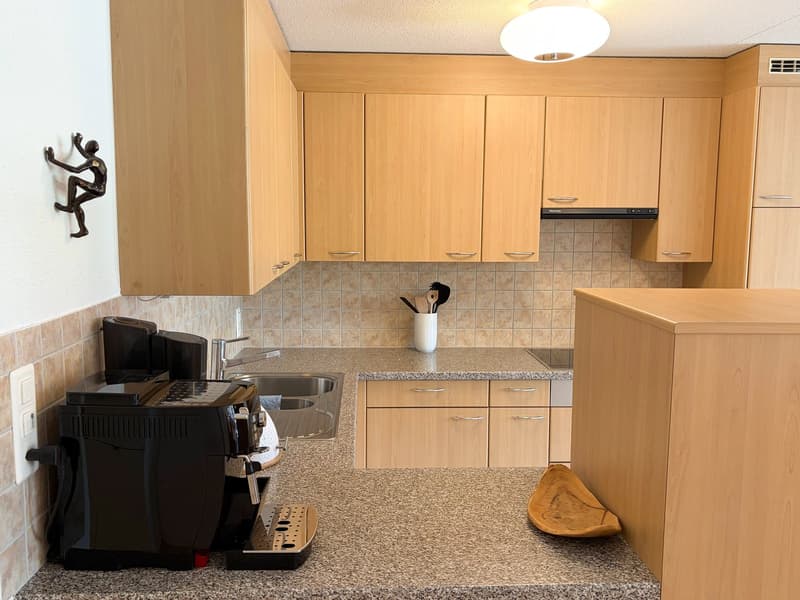 Delizioso appartamento 2 locali con terrazza e vista splendida a Flims-Dorf (8)