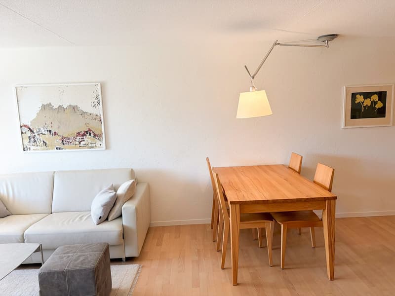 Delizioso appartamento 2 locali con terrazza e vista splendida a Flims-Dorf (15)