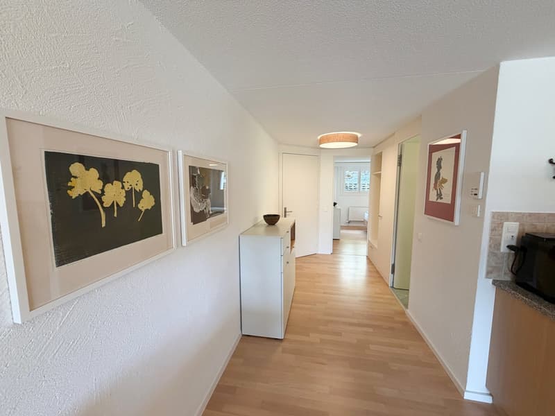Delizioso appartamento 2 locali con terrazza e vista splendida a Flims-Dorf (9)