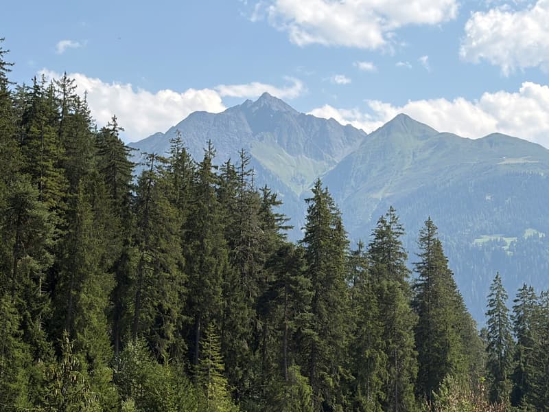Charmante 4.5-Zimmer-Wohnung mit Bergpanorama in Laax (3)