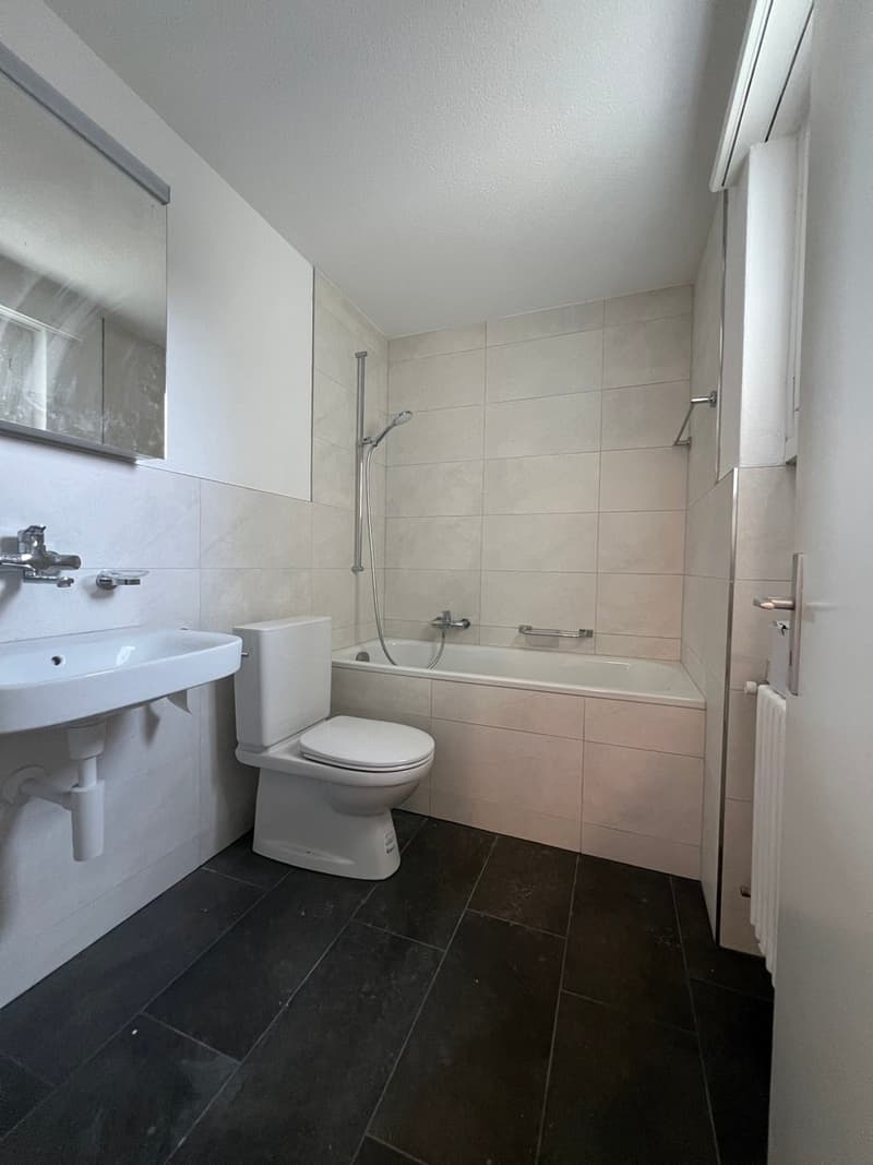 Bathroom with white tiles, black floor, white sink, white toilet, bathtub with shower, mirror, towel rack
