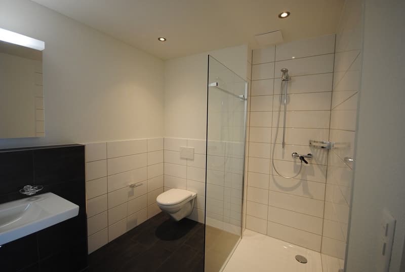 Über den Dächern von Hunzenschwil / Wohnen mit viel Komfort (6)