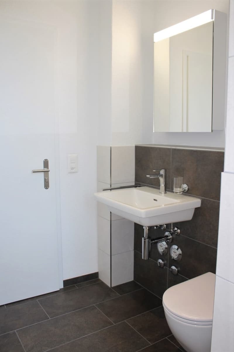 Dusche WC mit Lavabo, Ablagefläche, Rimless-WC...