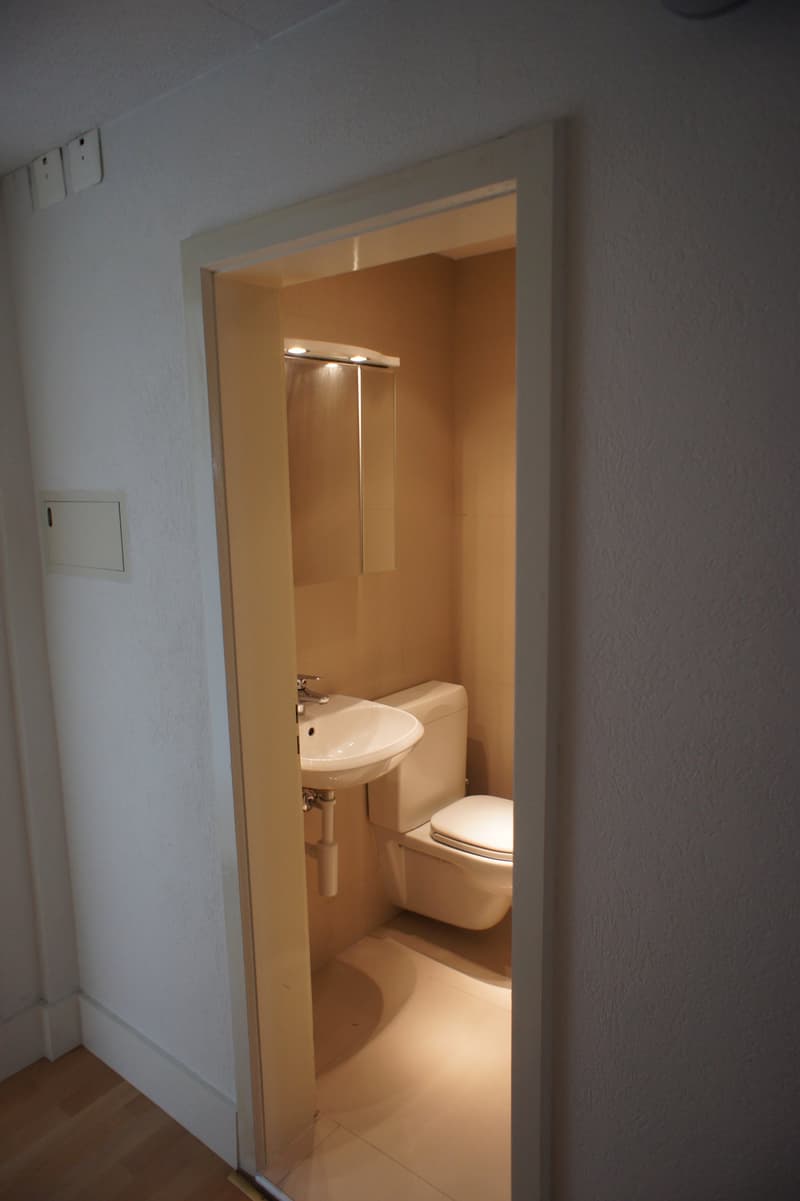 small bathroom with toilet, sink, and mirror
