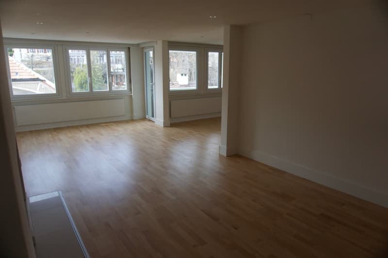 Charmant appartement de 4 pièces rénové avec balcon – La Chaux-de-Fonds (3)