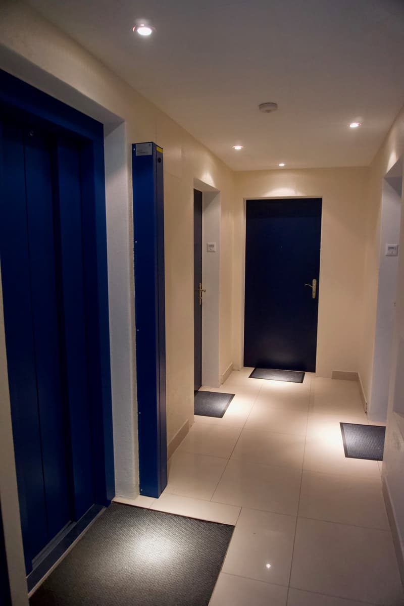 Appartement 2 pièces rénové avec vue, calme et bien situé à La Chaux-de-Fonds (3)