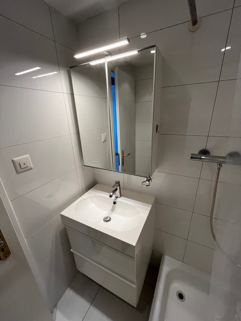Appartement 2 pièces rénové avec vue, calme et bien situé à La Chaux-de-Fonds (10)