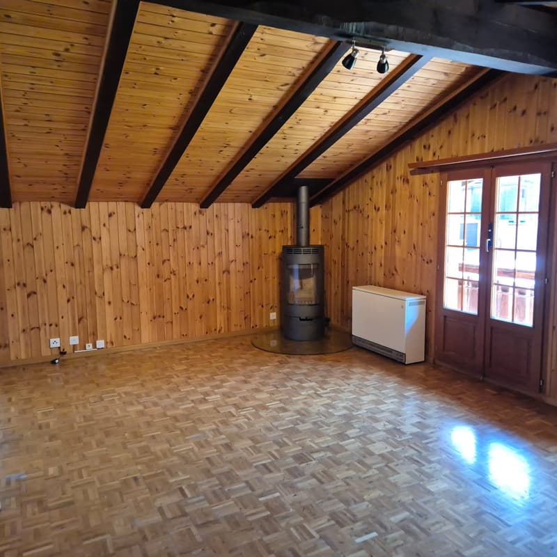 Wooden walls, parquet floor, fireplace, entrance, heater