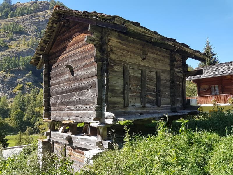 Old wooden house, raised ground floor, wooden walls, slanted roof, surrounded by grass and trees