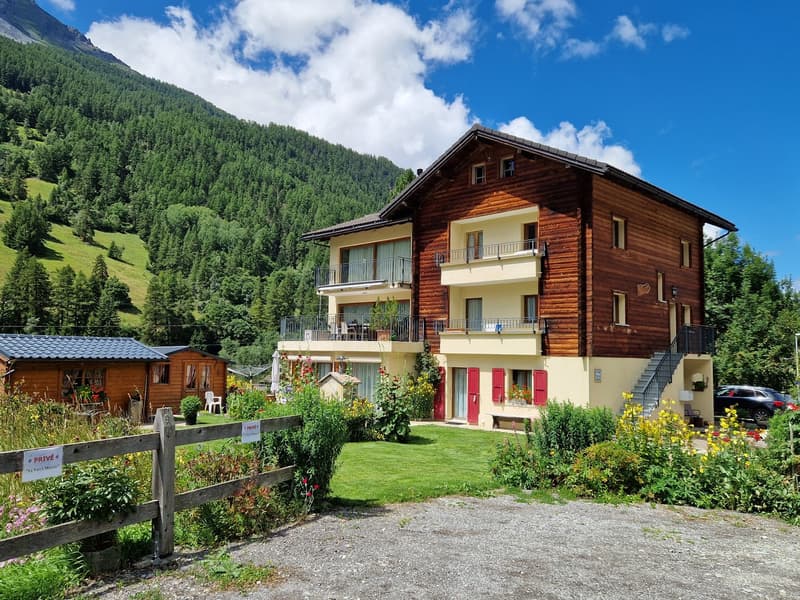 Charming attic apartment - Spectacular view - 90 m2 - Evolène (1)