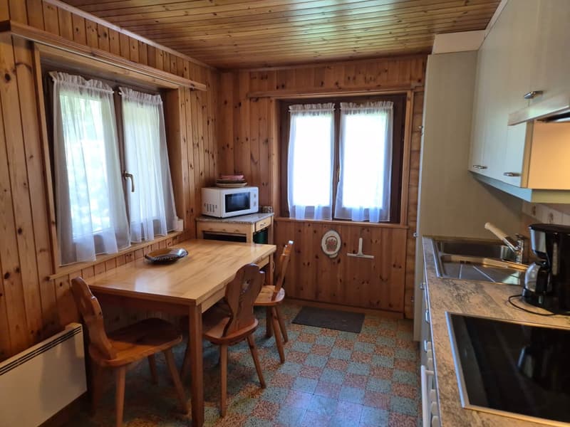 Charming attic apartment - Spectacular view - 90 m2 - Evolène (3)