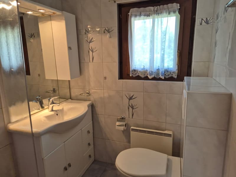 Charming attic apartment - Spectacular view - 90 m2 - Evolène (7)