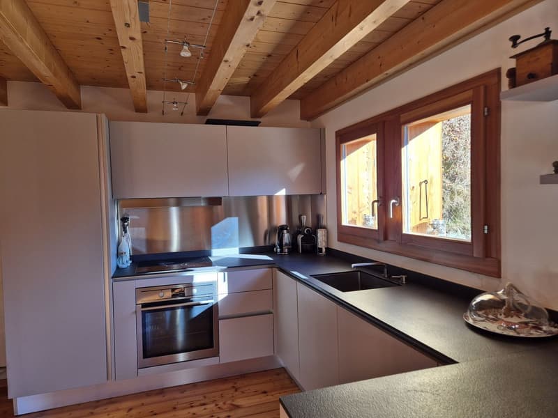 Chalet with breathtaking panoramic view - Tranquility - Sunlight - Main residence (10)
