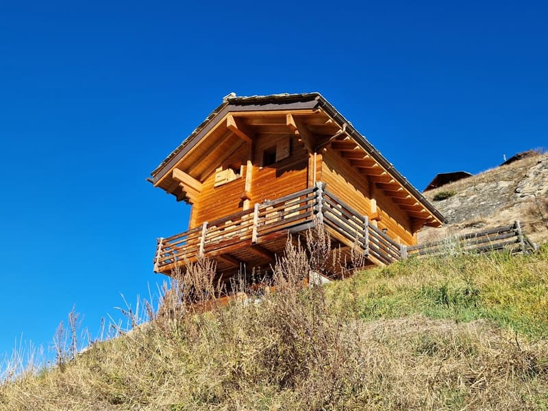 Chalet with breathtaking panoramic view - Tranquility - Sunlight - Main residence (3)
