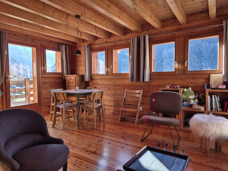 Chalet with breathtaking panoramic view - Tranquility - Sunlight - Main residence (11)