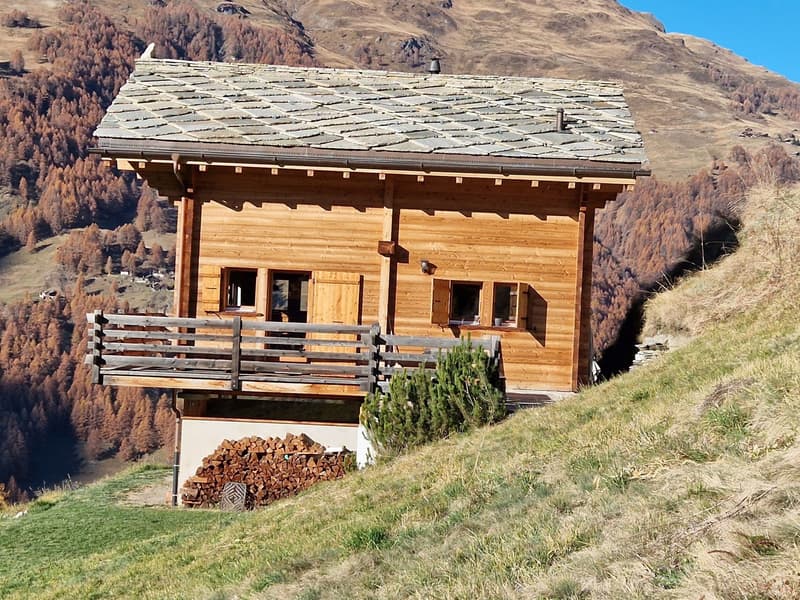 Chalet with breathtaking panoramic view - Tranquility - Sunlight - Main residence (5)