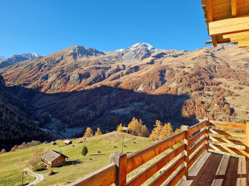 Chalet with breathtaking panoramic view - Tranquility - Sunlight - Main residence (14)