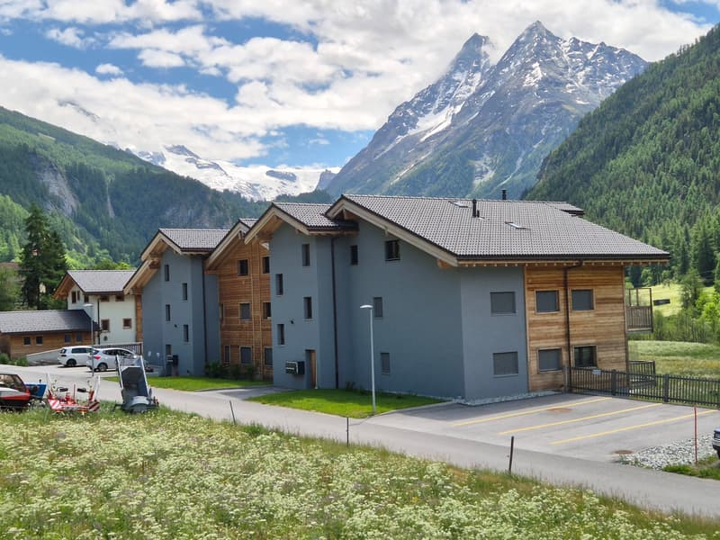 Charmantes 3,5-Zimmer-Wohnung - Hauptwohnsitz - Evolène (3)