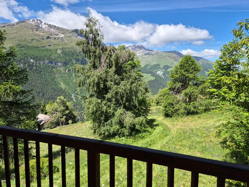 Chalet de caractère à Villa (Evolène) - Vue panoramique - Ensoleillement maximal (16)