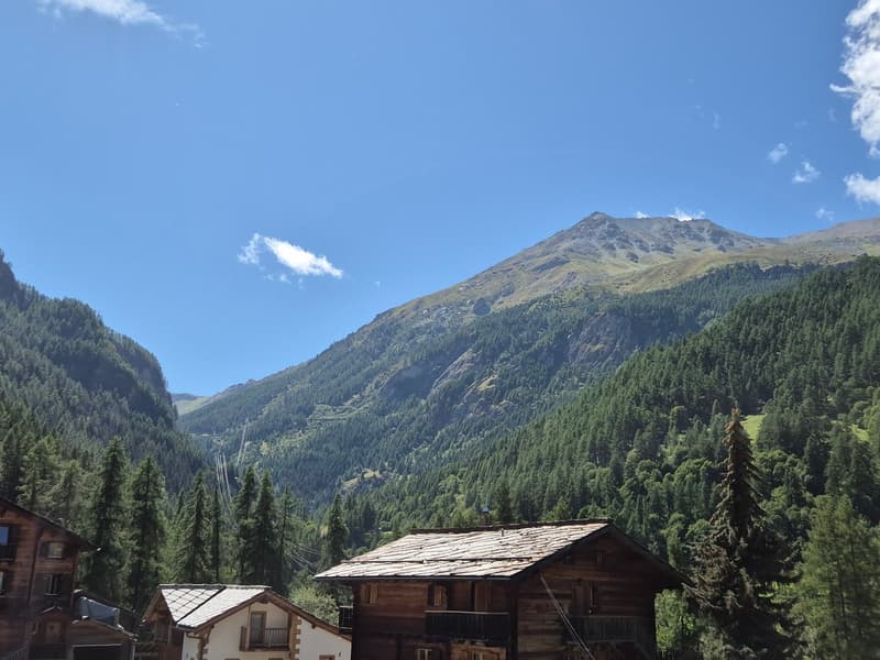 Appartement partiellement rénové dans maison villageoise de caractère - Les Haudères (13)