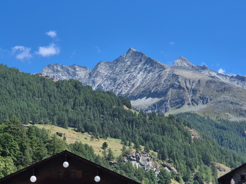 Appartement partiellement rénové dans maison villageoise de caractère - Les Haudères (12)
