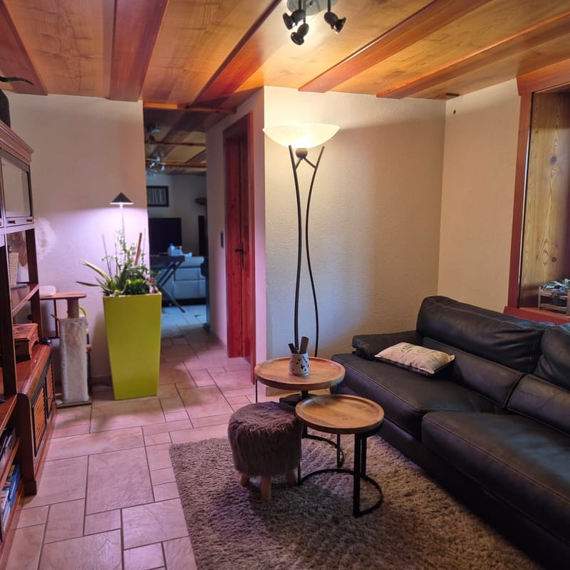 Propriété unique avec habitation atypique - Evolène (6)