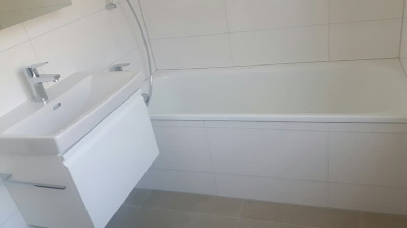 Incantevole appartamento di 3 locali a Le Locle (6)