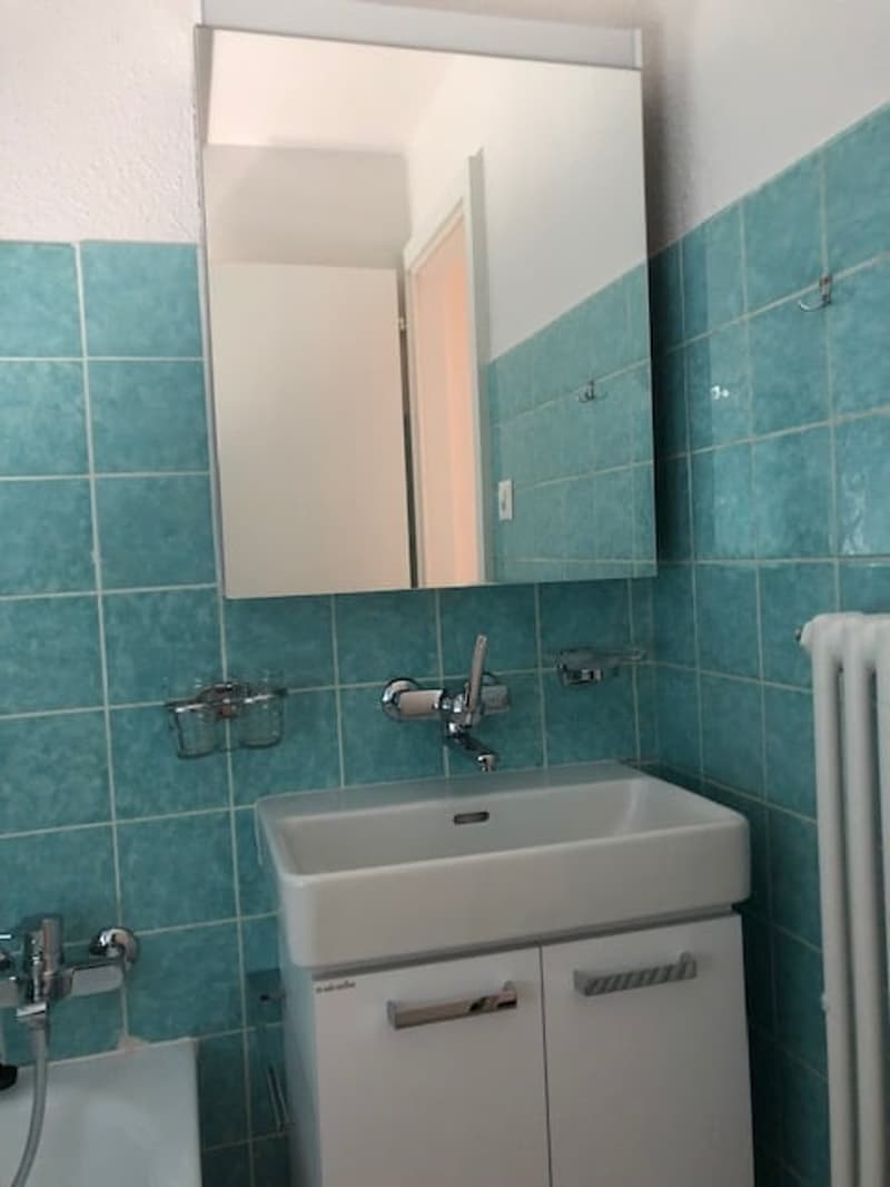 Incantevole appartamento di 4 locali (6)