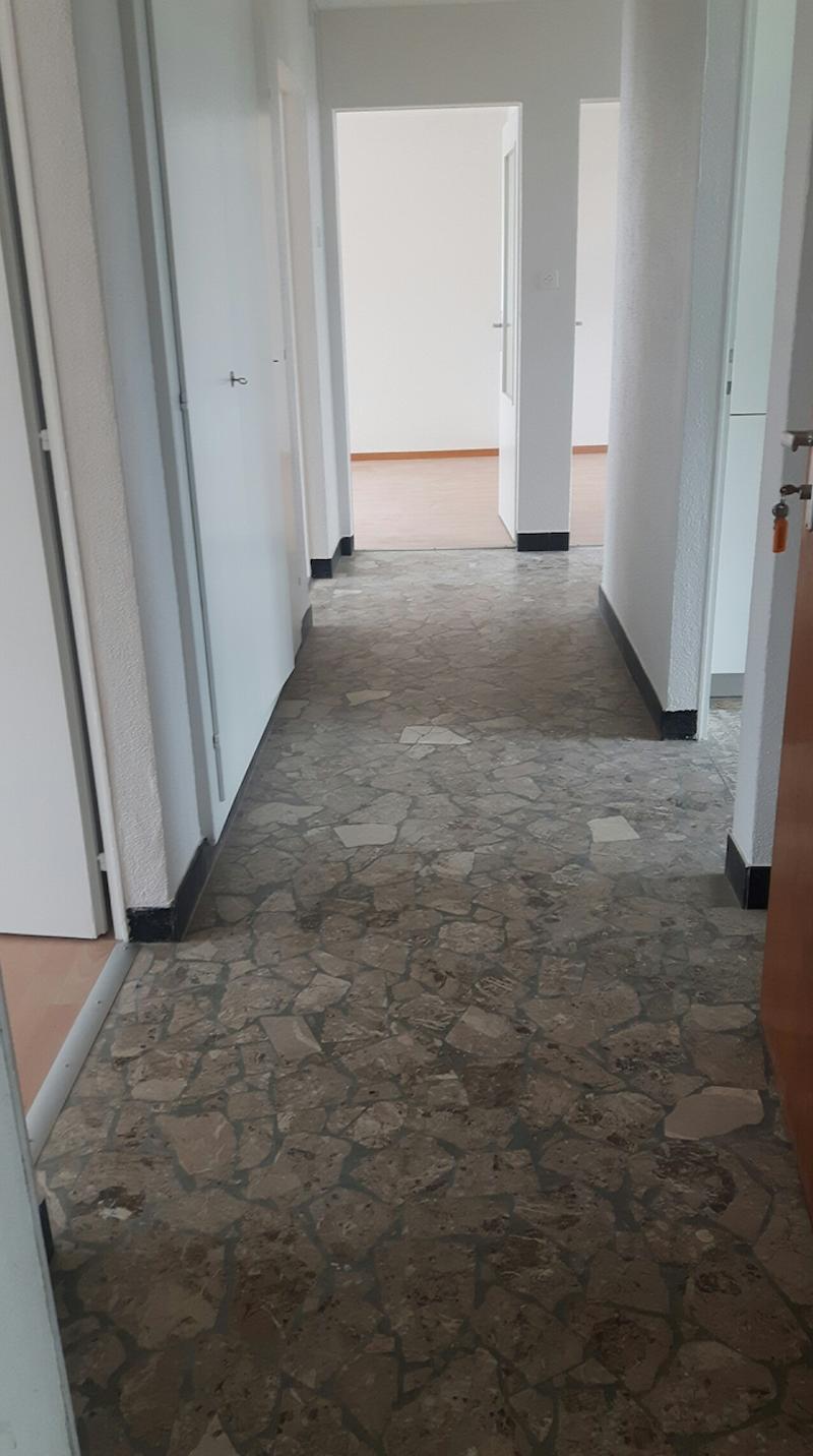 Incantevole appartamento di 4 locali (3)