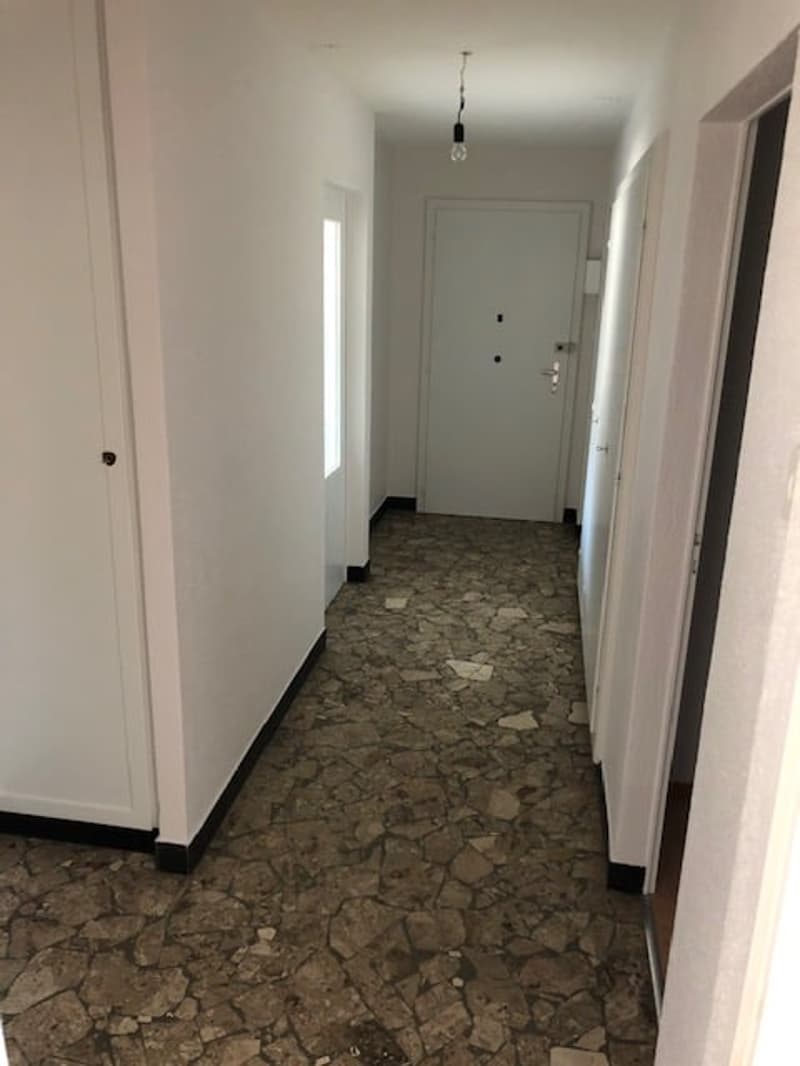 Incantevole appartamento di 4 locali (4)