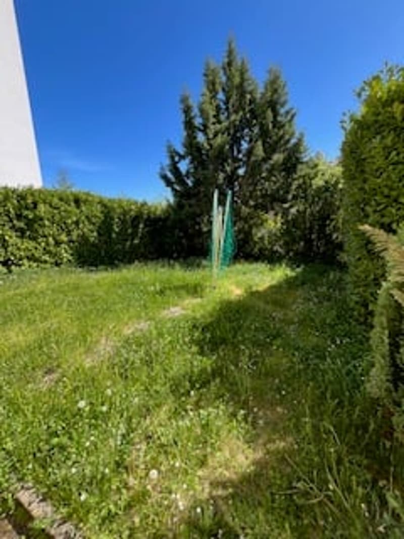 Charmant appartement de 2 pièces sous les toits à Neuchâtel (8)