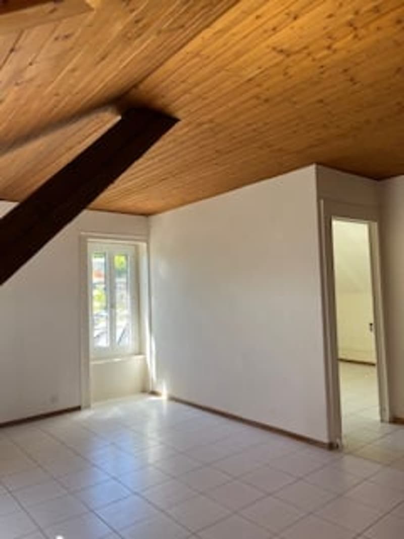 Charmant appartement de 2 pièces sous les toits à Neuchâtel (3)