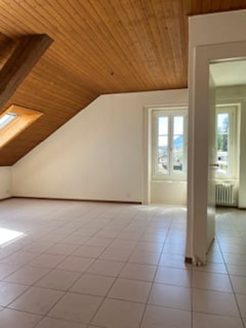 Charmant appartement de 2 pièces sous les toits à Neuchâtel (2)