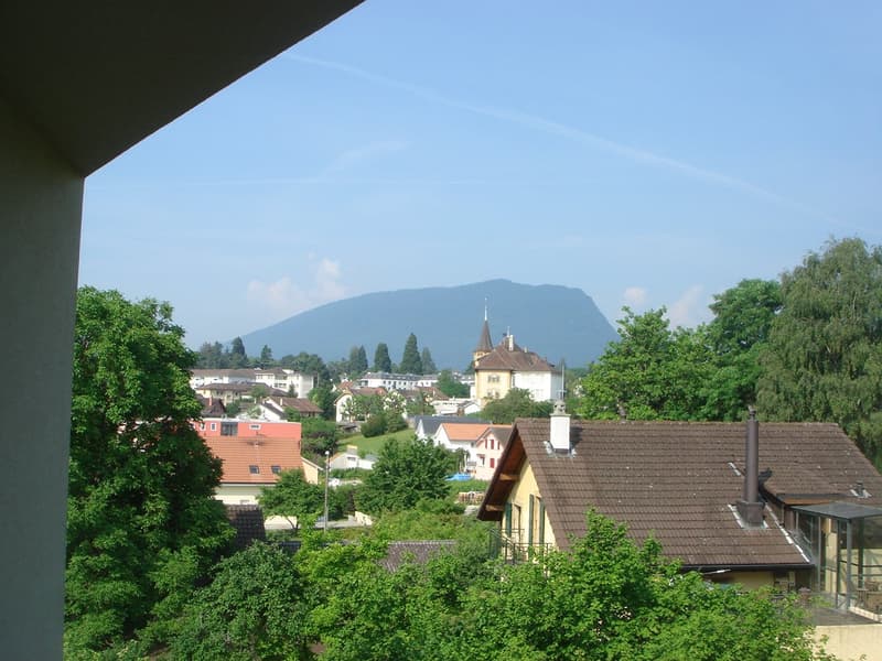 Aerial view of a town with houses, trees, and a mountain in the background