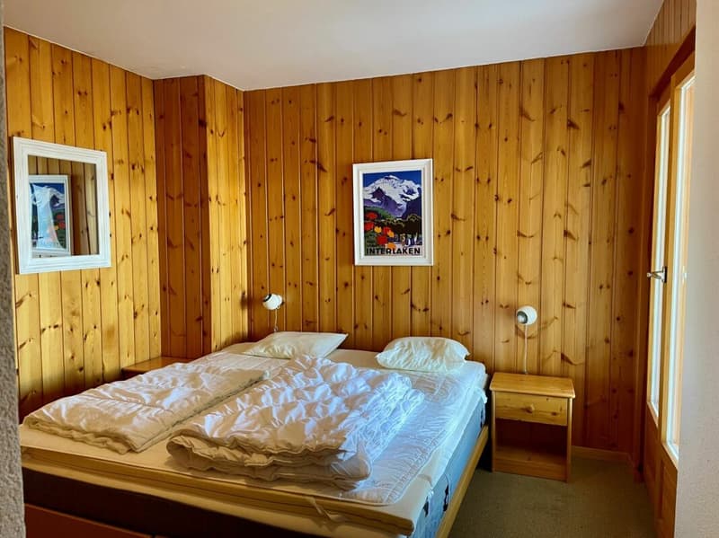 Chalet Les Fontannets 3 (9)