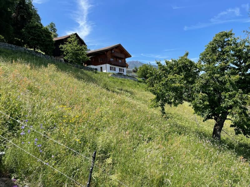 Terrain à construire pour résidence familiale (2)