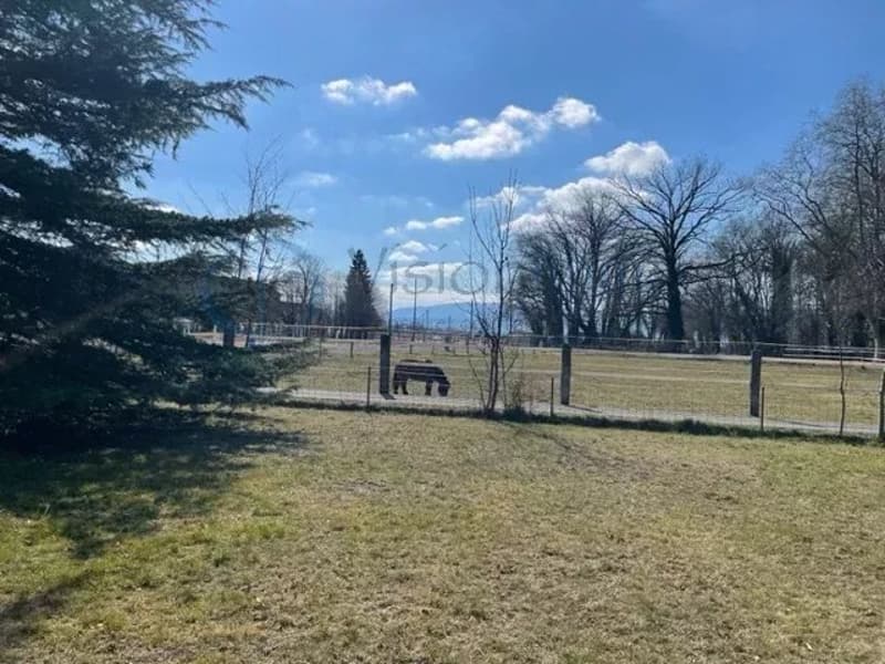 INDIVIDUAL HOUSE TO RENOVATE ? GREAT POTENTIAL ON LARGE PLOT IN AGRICULTURAL ZONE (13)