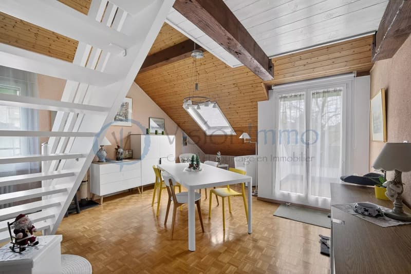 Charming attic in the heart of Bernex village (12)