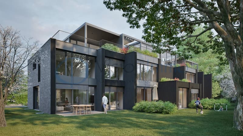 Vessy - Contemporary townhouse with garden and rooftop (1)