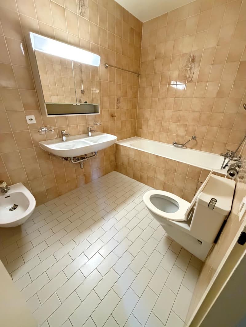 In der Nachbarschaft der internationalen Organisationen - Geräumige 5-Zimmer-Wohnung (5)