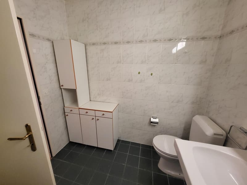 Ravissant appartement 3 pièces traversant au coeur de Meinier (7)